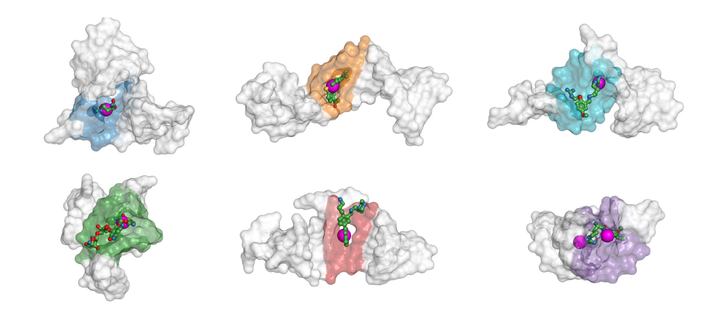 rna_binding_sites