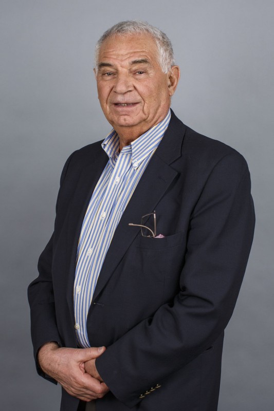 Project Lead and Skoltech Professor Vladimir Zelman. Photo: Skoltech.