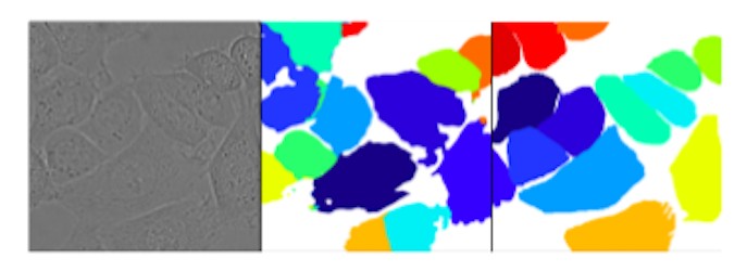 fig2