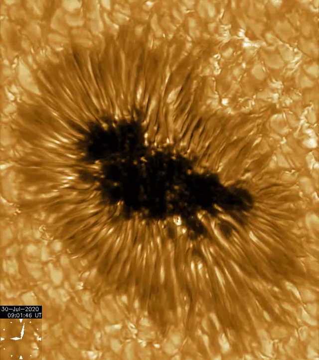 sunspot_gregor