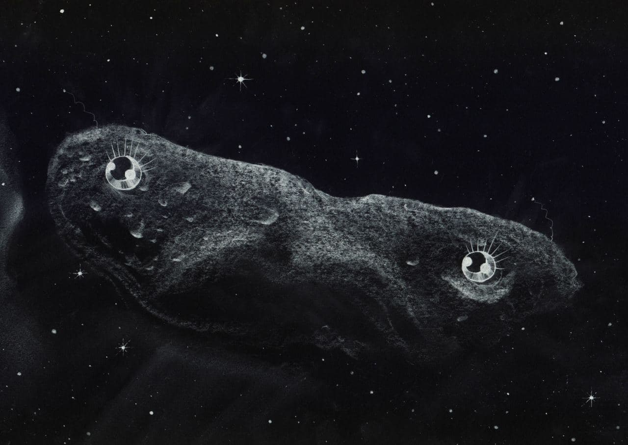 eskiz-asteroida-rostan-tavasiev