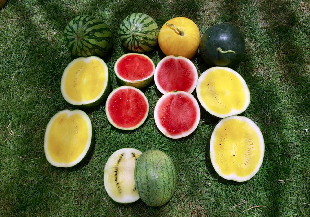 image002