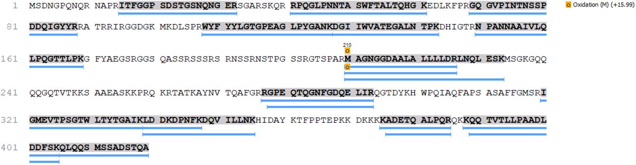 Sequence coverage of the P0DTC9|NCAP_SARS2 Nucleoprotein from SARS CoV-2.