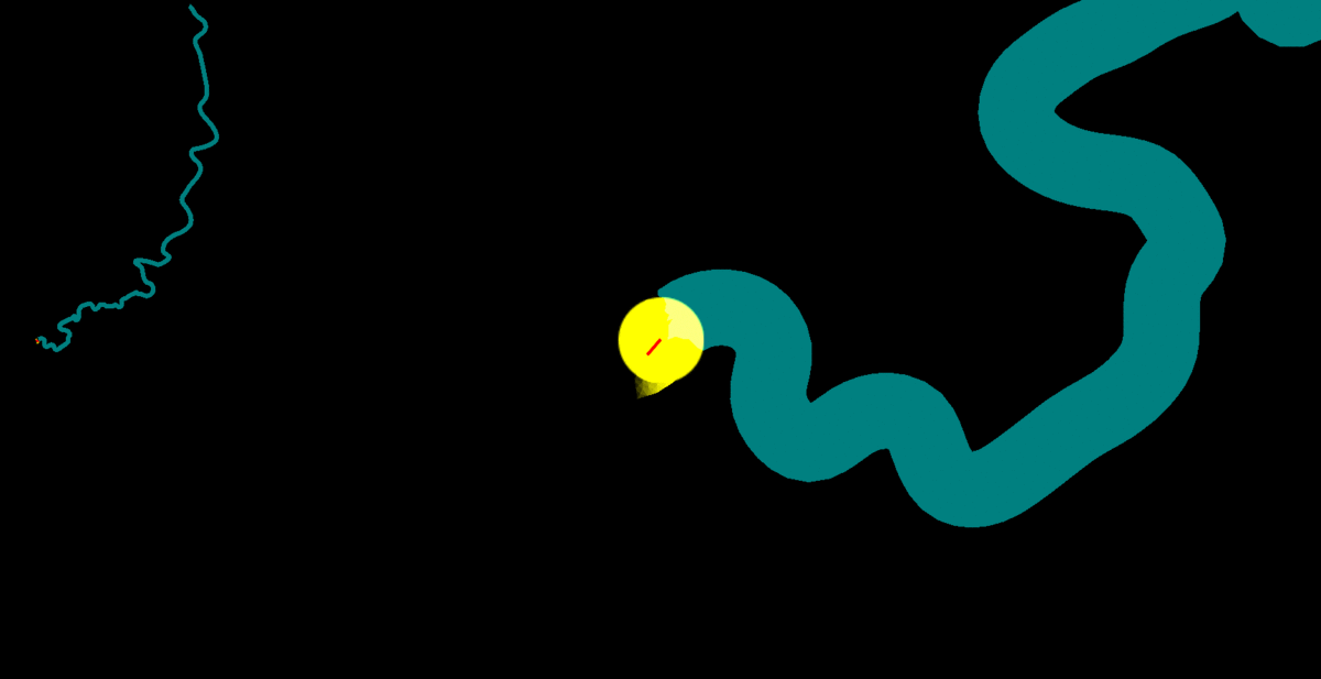 animation