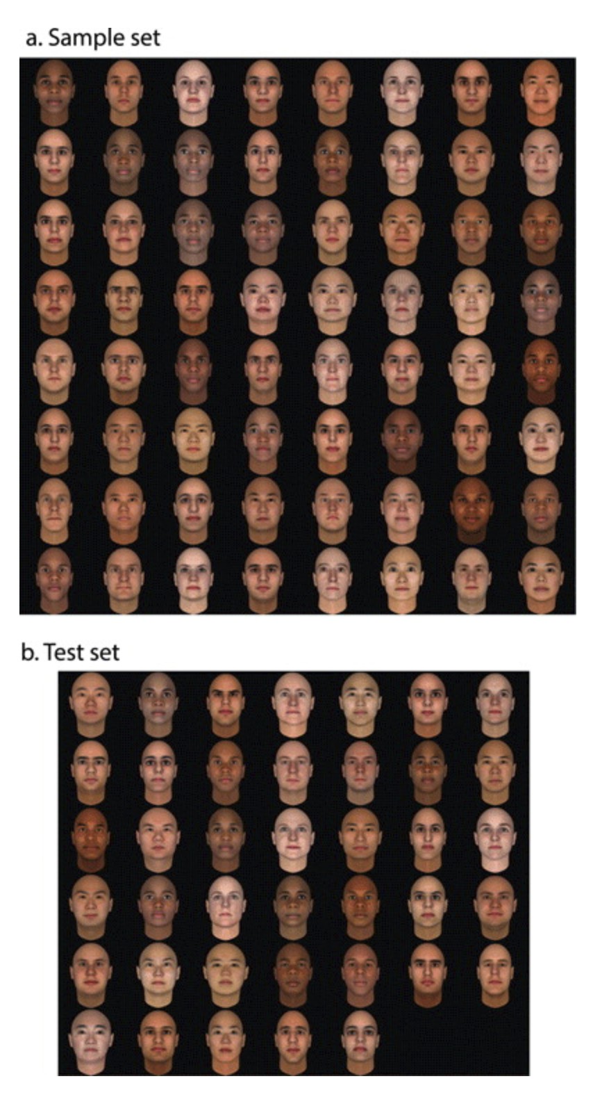 Face sets used to examine the tensor decomposition algorithm. (a) Sample set. Shows 64 out of 128 faces serving as input to the algorithm to create the tensorfaces. (b) Test set: A different set of faces to evaluate properties of the tensorfaces.