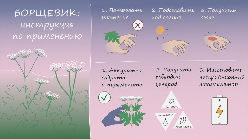Источние: Павел Одинев / Сколтех
